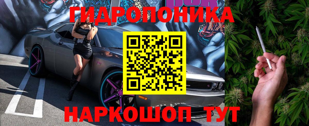 Бошки Шишки семена Семёнов